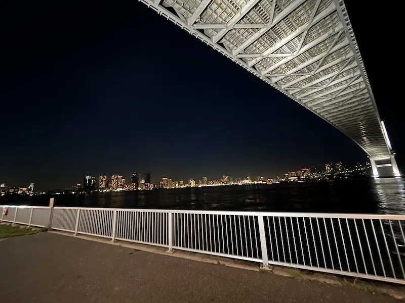 芝浦南ふ頭公園から見たお台場方面の夜景