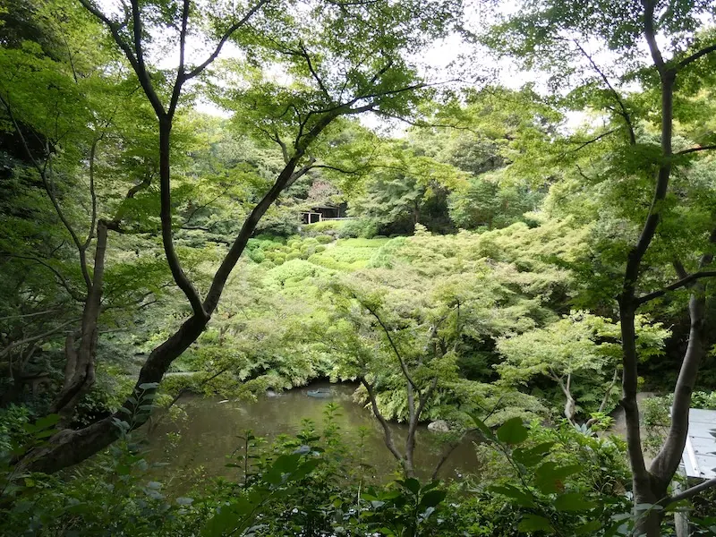 池田山公園中央の池