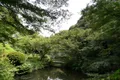 品川区の「池田山公園」に行ってきました