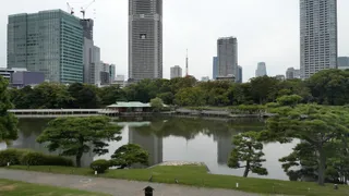 浜離宮恩賜庭園の見どころは？潮入の池と中島の御茶屋を歩く散歩ガイド