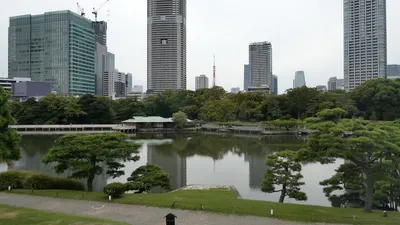 浜離宮恩賜庭園の見どころは？潮入の池と中島の御茶屋を歩く散歩ガイド