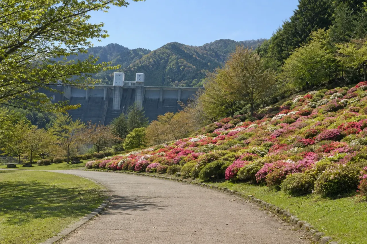 県立あいかわ公園で、宮ヶ瀬ダムを近くに感じながら、花の斜面と広場をゆっくり歩く散歩を紹介。半日まで広げず、2時間で景色を受け取る歩き方をまとめます。