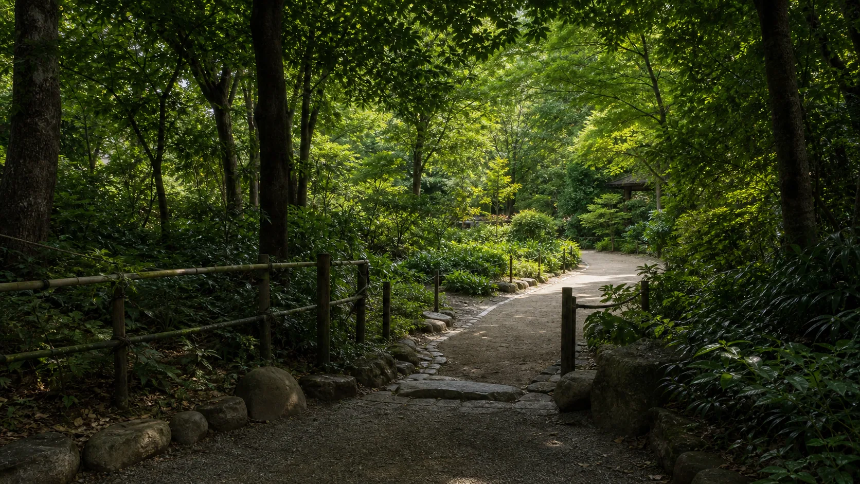 緑に包まれた植物園の園路のイメージ