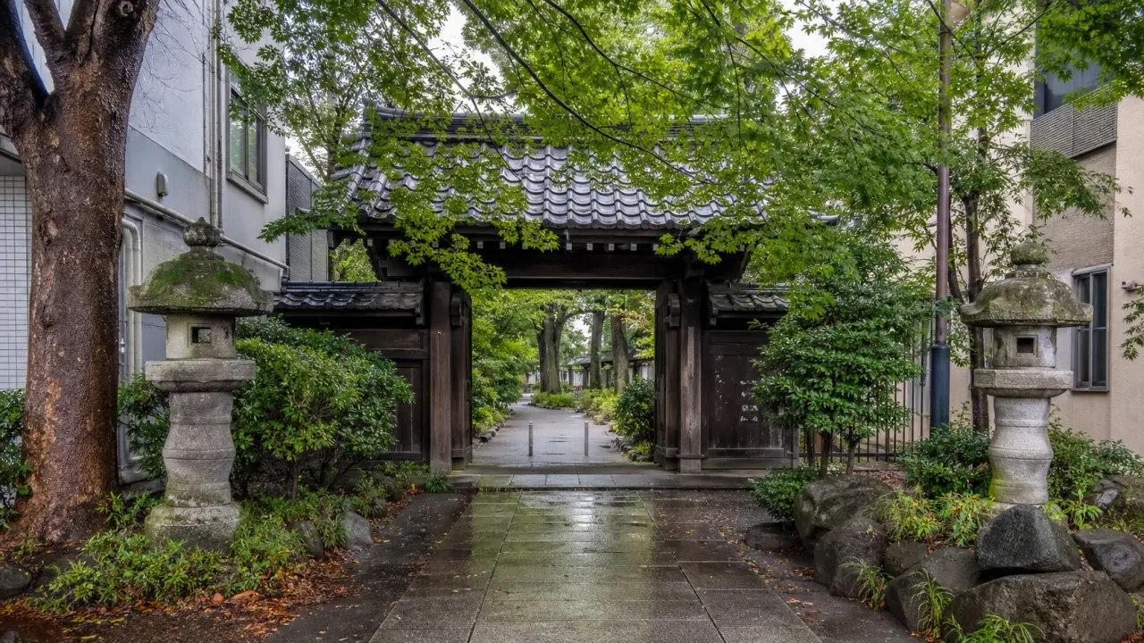 中野区の新井薬師梅照院から哲学堂公園へ歩く半日散歩コースを紹介。駅前の商店街、静かな寺院、名勝に指定された哲学堂公園をつなぐ、落ち着いた東京散歩です。