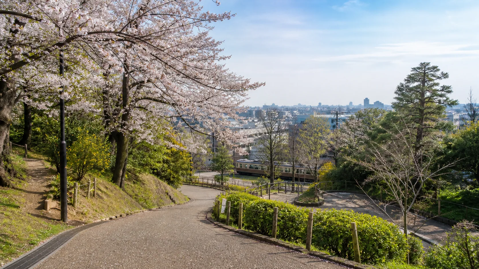 坂のある公園と桜並木を歩く空気感のイメージ