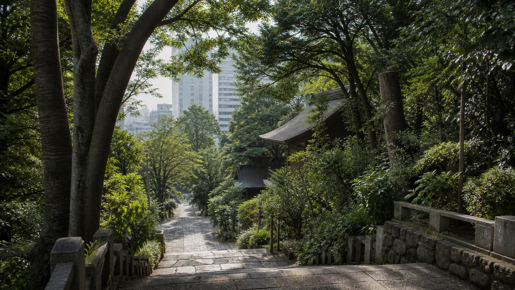 都心の緑に囲まれた神社の丘へ向かう散歩道のイメージ