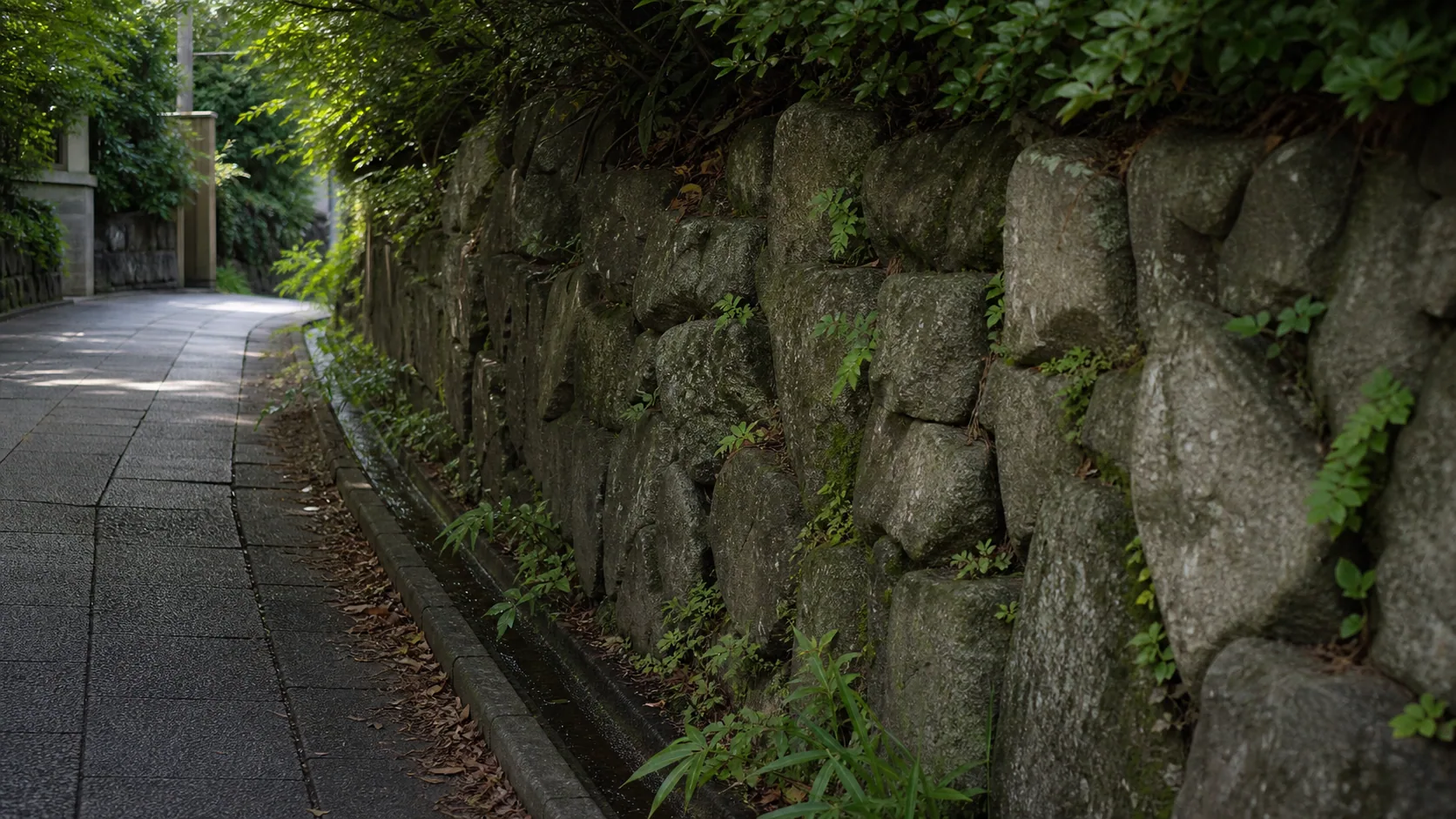 崖線沿いの石垣と植栽の近景のイメージ