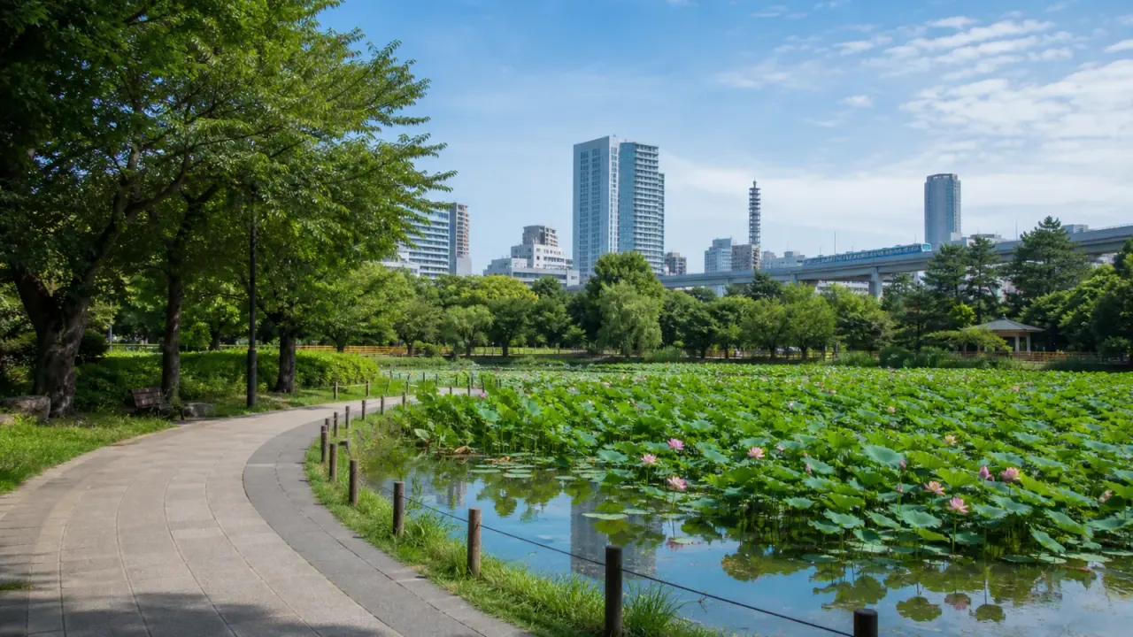 ハス池と緑の園路、千葉市街の高層建物とモノレールを遠くに望む千葉市散歩イメージ