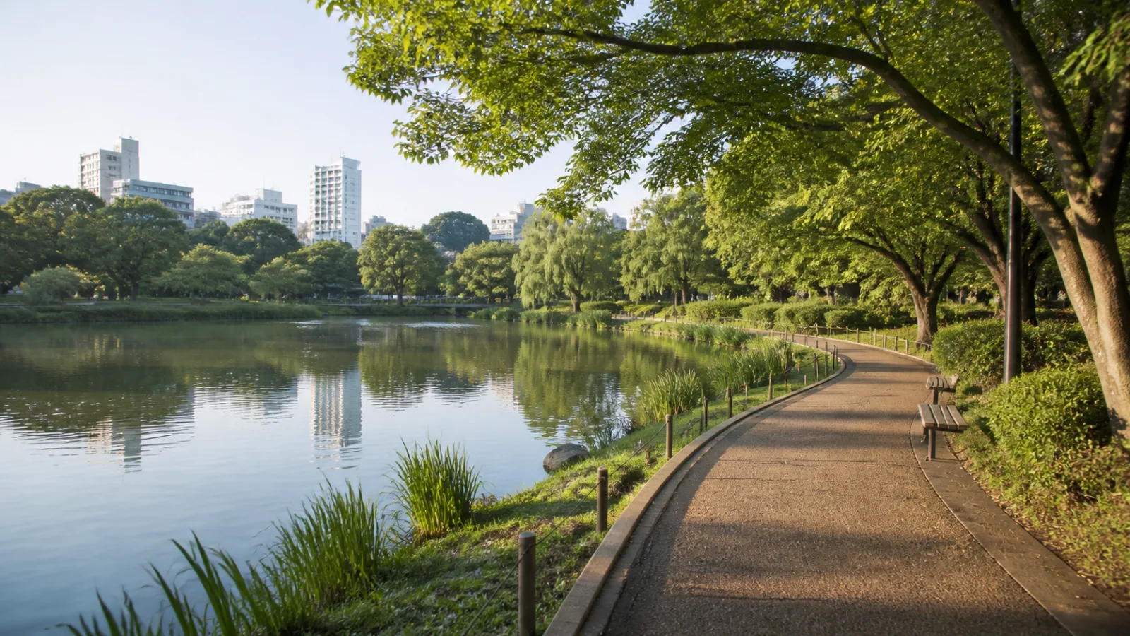 駅近くの公園で池のまわりを歩く水辺散歩の補助画像