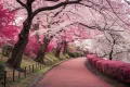 【混雑回避】千鳥ヶ淵の桜を静かに楽しむ散歩術｜夏と秋の魅力も解説