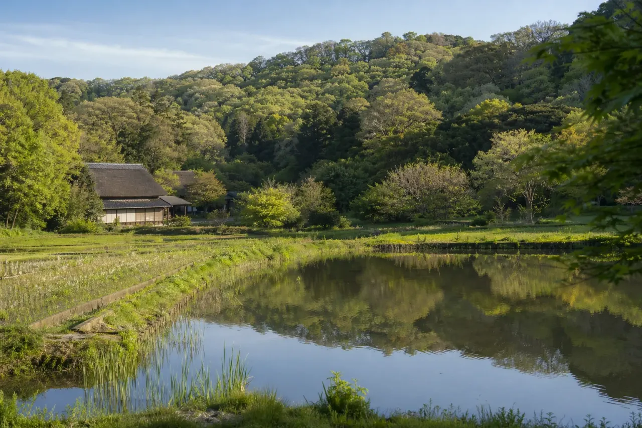茅ケ崎里山公園で、中ノ谷池や谷の家、夕映えの丘を静かに歩く散歩を紹介。海辺ではなく里山の空気に浸りたい日にちょうどいい、2時間の使い方をまとめます。