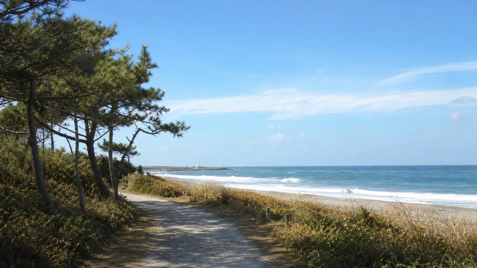 海辺の園路から砂浜へ向かう短い散歩の補助画像