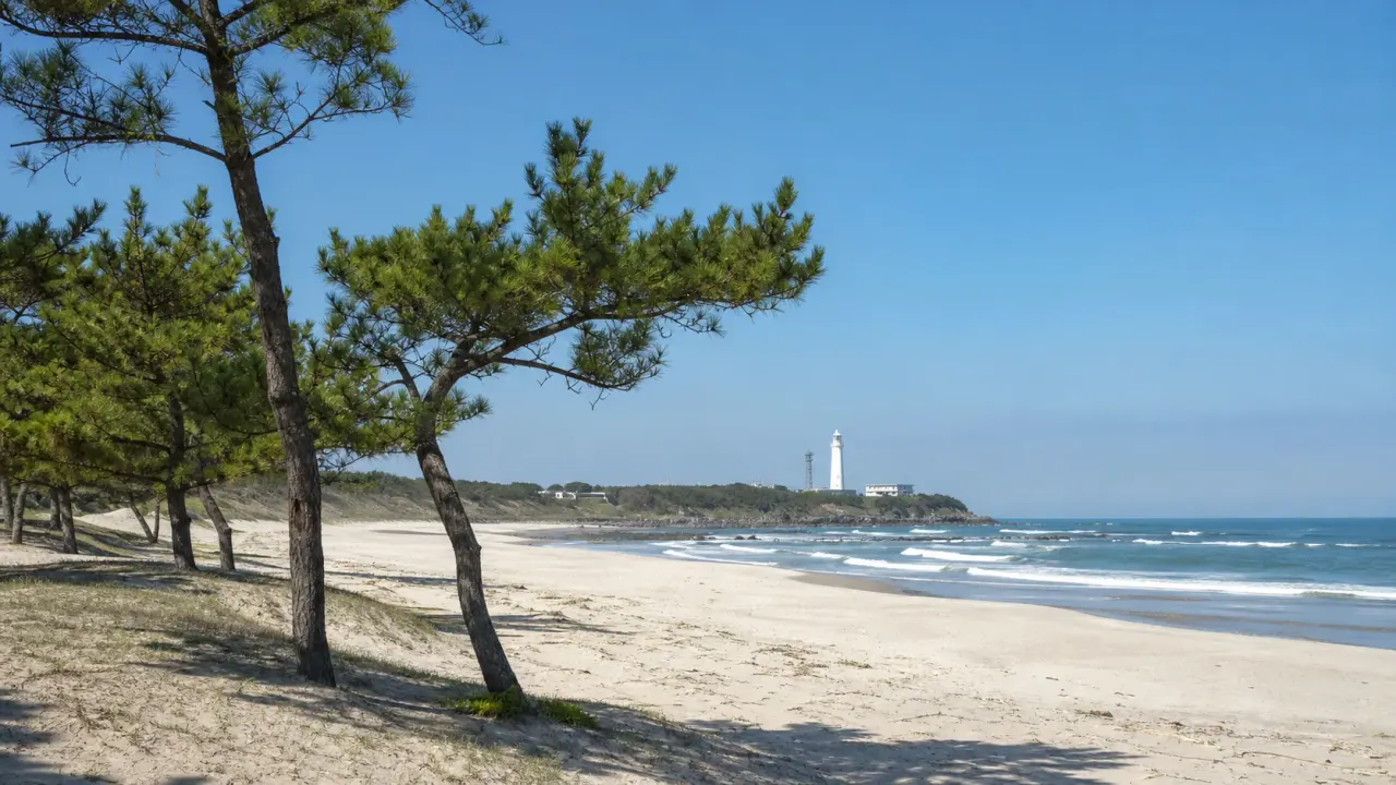 犬吠埼灯台の近くに広がる白砂青松の君ヶ浜海岸と太平洋のイメージ