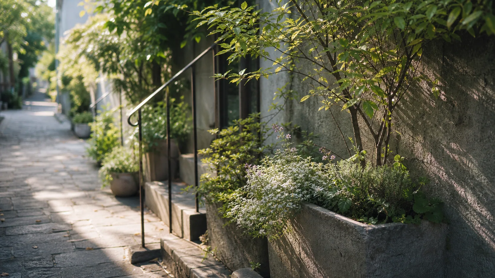 植栽と細い舗装路が続く裏道の近景のイメージ