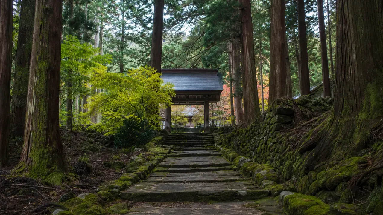 南足柄市の大雄山最乗寺で、杉林、石段、堂塔をゆっくり歩く散歩を紹介。山の中の古刹で静けさを受け取る半日の歩き方をまとめます。