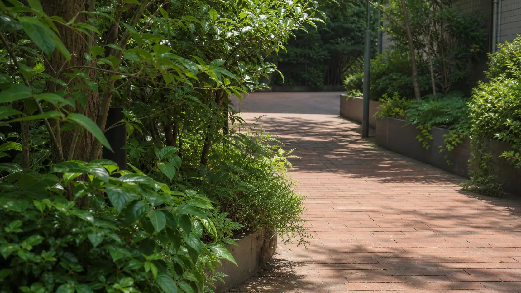植栽に囲まれたレンガ調の小道のイメージ