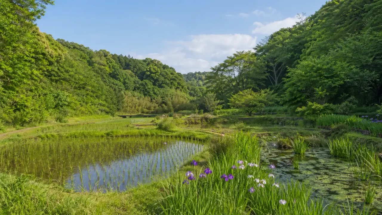 遠藤笹窪谷公園で、田んぼやしょうぶ園、湿地の気配を静かに歩く散歩を紹介。湘南台や辻堂からバスで入りやすい、1時間半の使い方をまとめます。
