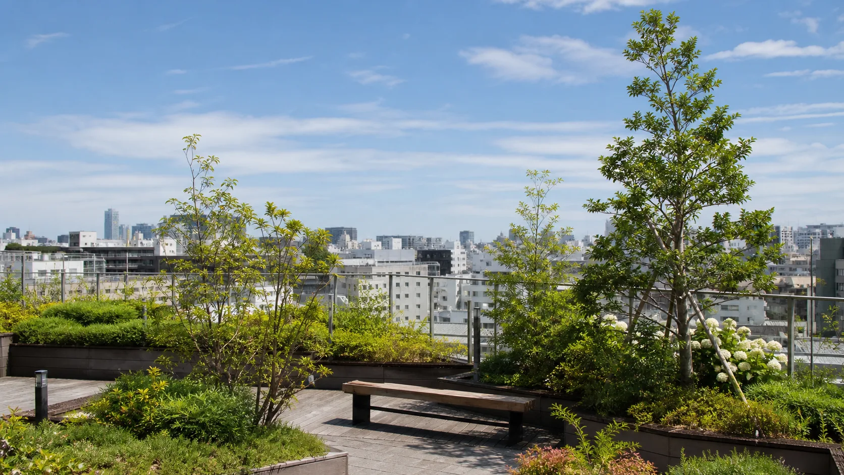 空が広がる屋上庭園と植栽のイメージ