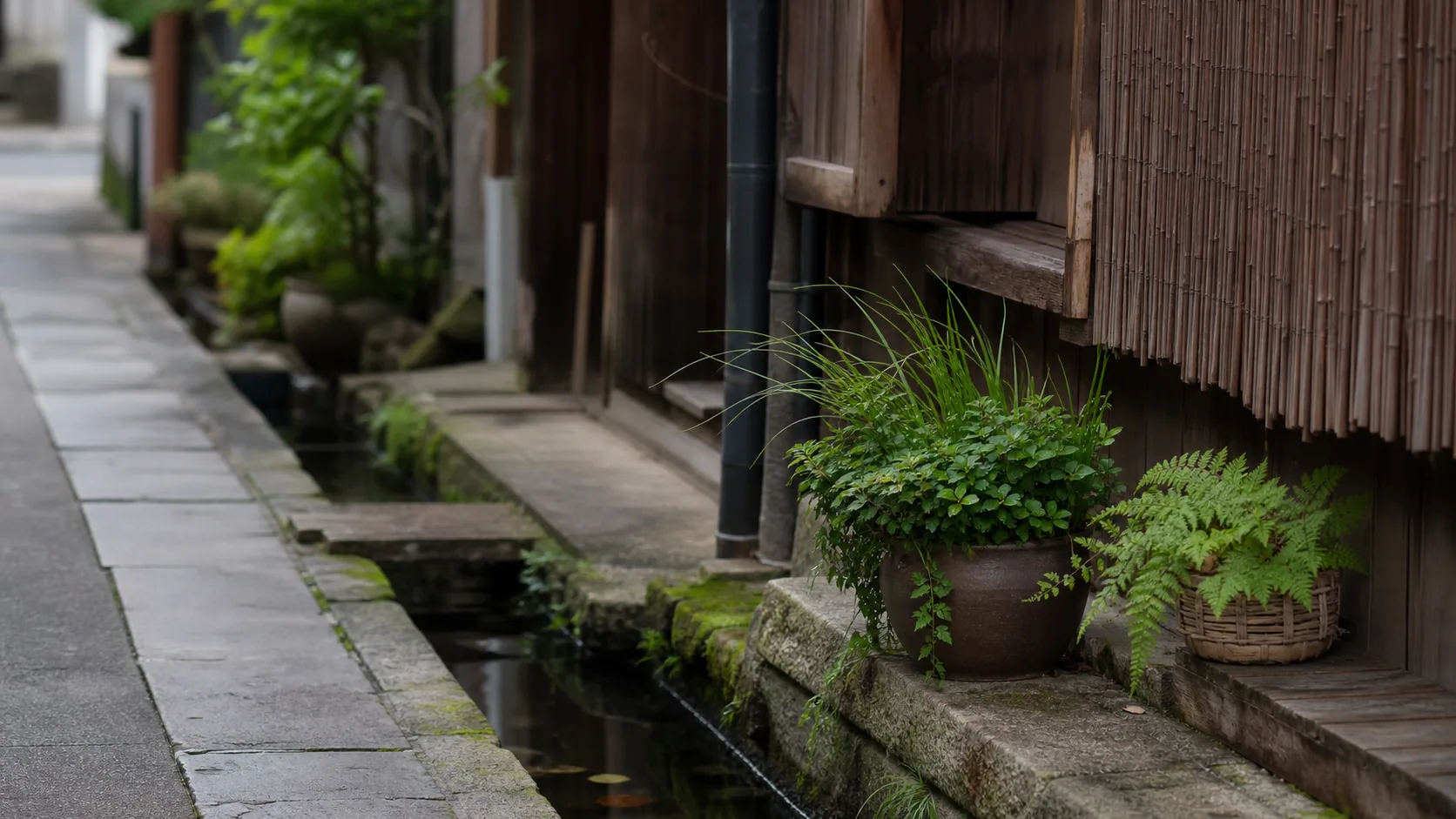 水辺と植栽がある静かな通路のイメージ
