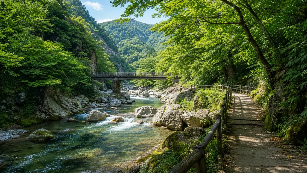 緑の渓谷を流れる清流と遊歩道、歩道橋が見える群馬の川・渓谷散歩のイメージ画像