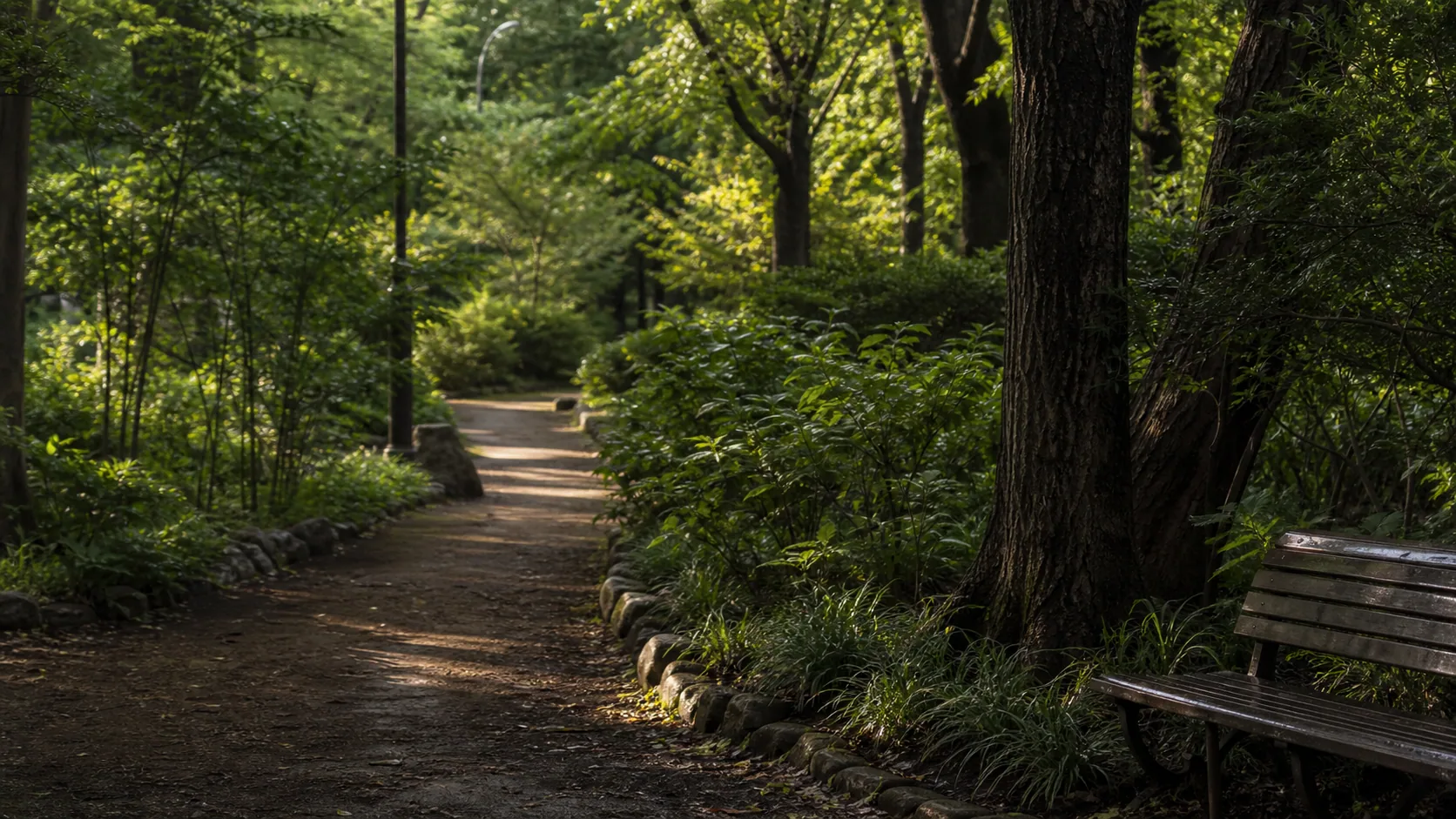 木陰の公園通路とベンチのイメージ