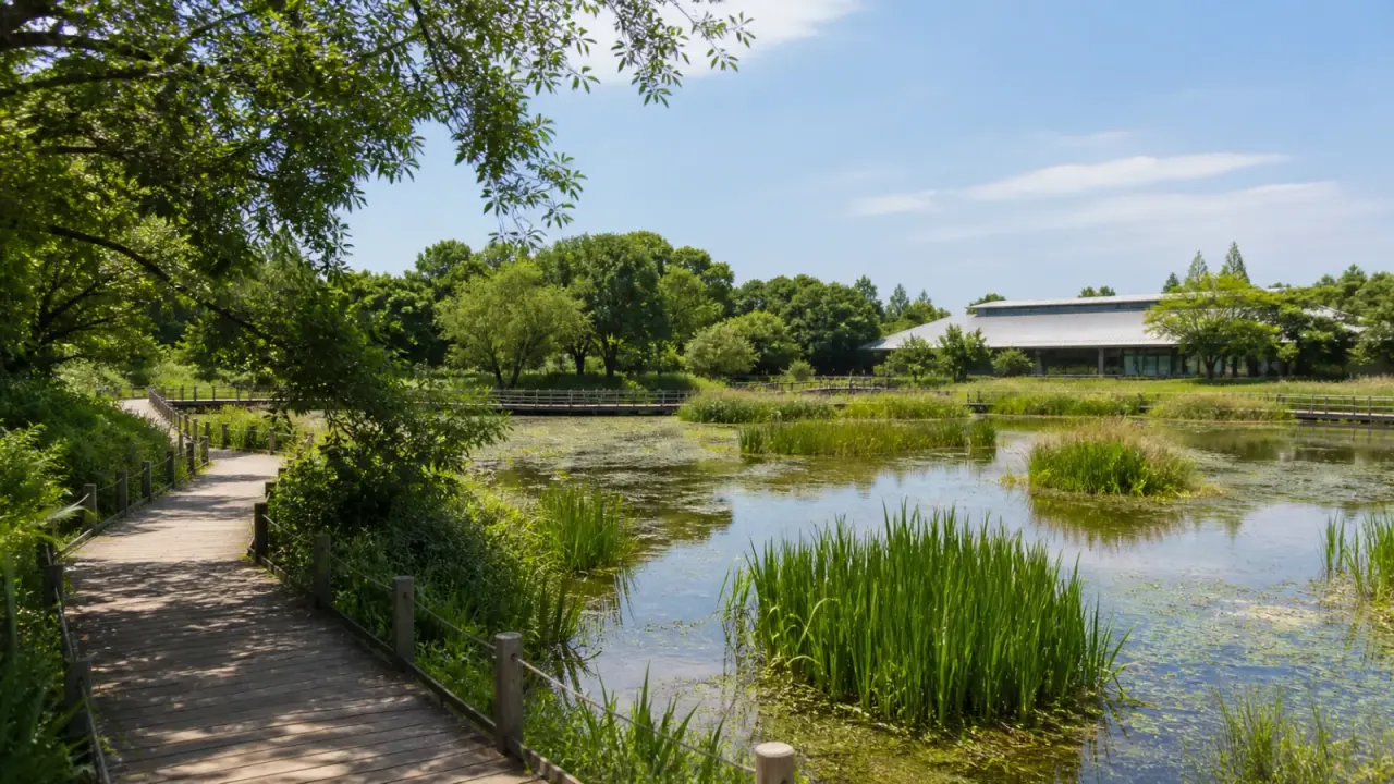 埼玉県羽生市の羽生水郷公園とさいたま水族館を歩く散歩記事。水生植物園、宝蔵寺沼、三田ヶ谷池、さいたま水族館を半日で楽しむポイントをまとめます。
