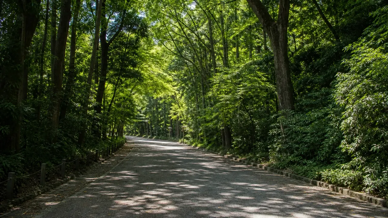 原宿・代々木で暑い日に木陰散歩をしたい人向けに、明治神宮、代々木公園、休憩、短時間で戻る歩き方を整理します。