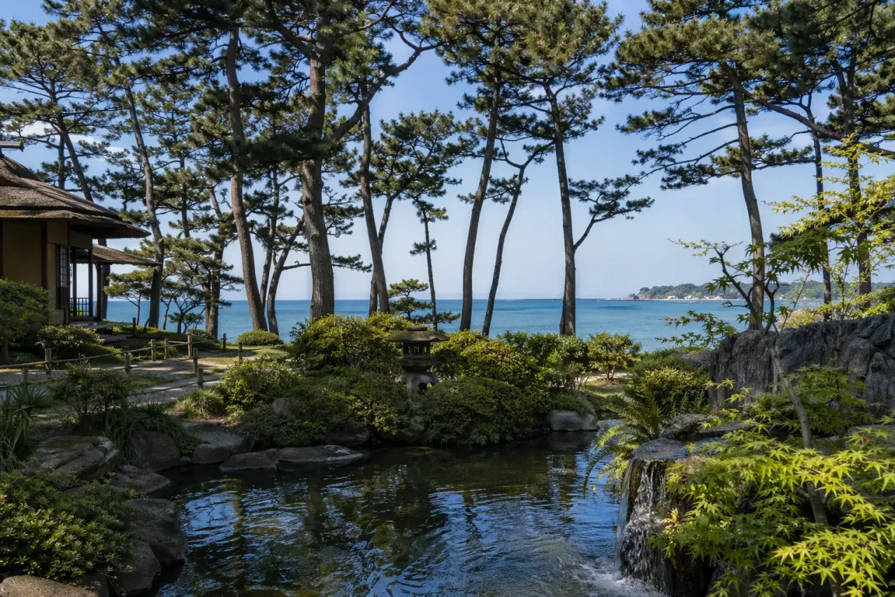 【葉山で庭と海を静かに味わう】葉山しおさい公園の歩き方|黒松林と日本庭園で整う1時間半