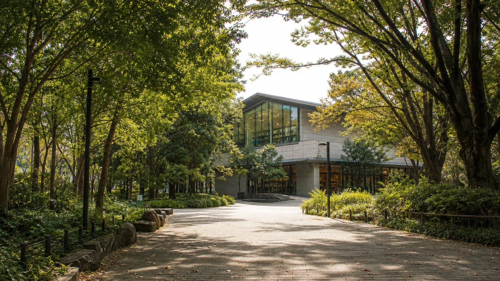 公園の木立を抜けて静かな文化施設へ向かう道のイメージ