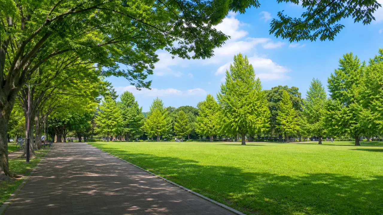 光が丘公園の芝生広場と木陰の園路をイメージしたカバー画像
