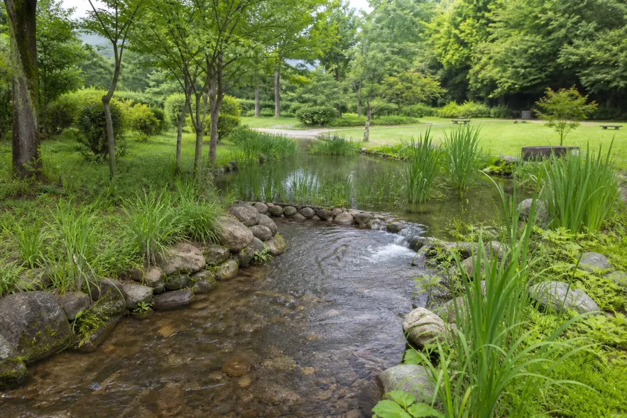 平塚市北金目の金目親水公園で、湧水を利用した流れや池、広場、金目川周辺の静けさを短く歩く散歩を紹介。アクセス、駐車場なしの注意点、1時間半の歩き方をまとめます。
