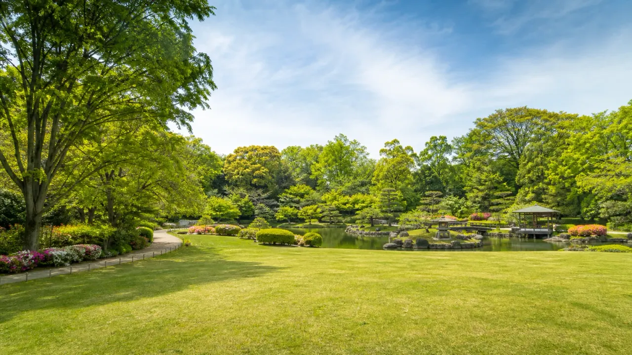 平塚市総合公園を思わせる広い芝生、日本庭園、桜の広場が続く公園散歩のイメージ