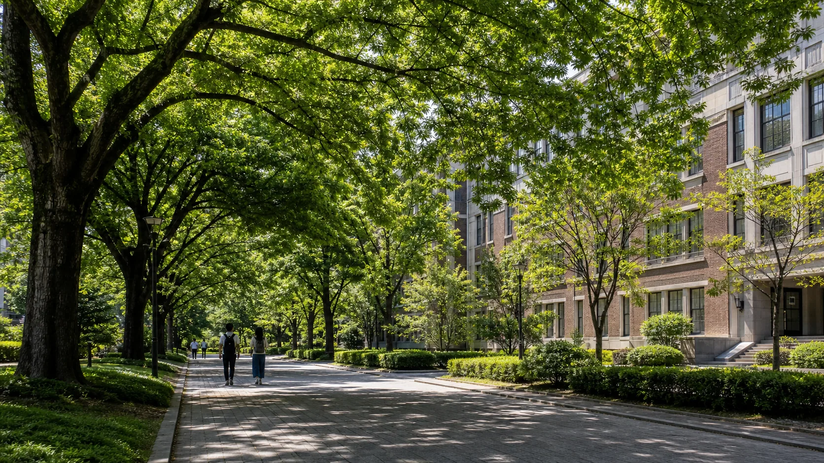 並木と学舎が続く静かな大学キャンパスのイメージ