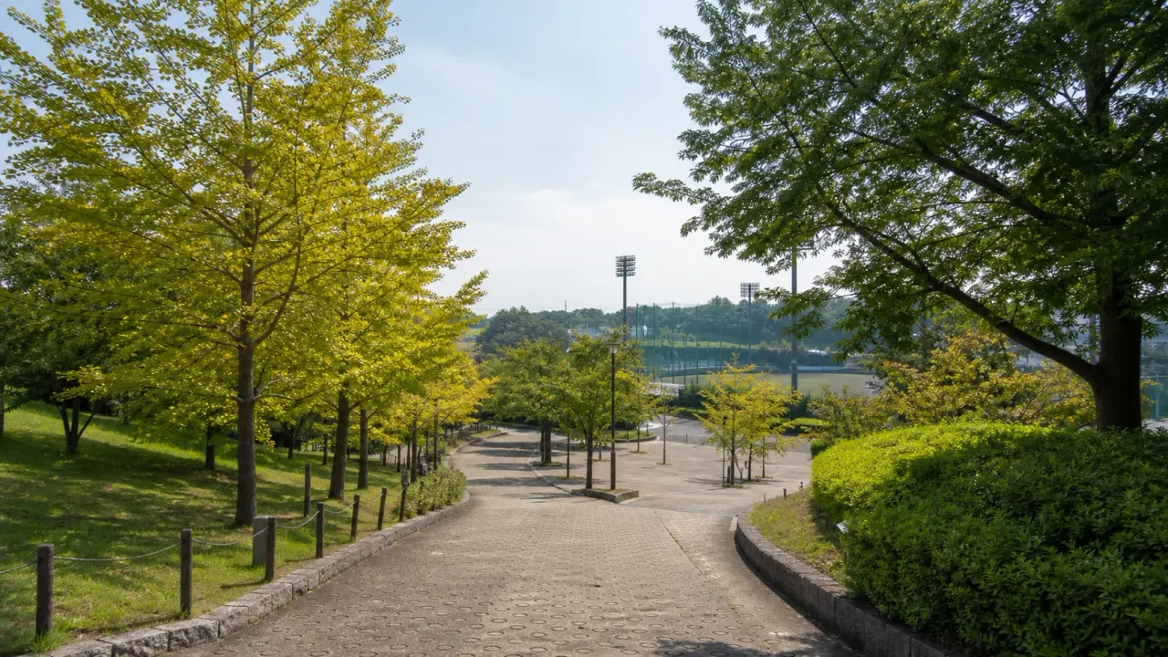 横浜市保土ケ谷区の県立保土ケ谷公園を、スポーツ観戦だけでなく梅園、イチョウ並木、広場をつなぐ丘の散歩先として紹介します。アクセスや1時間半の歩き方もまとめます。