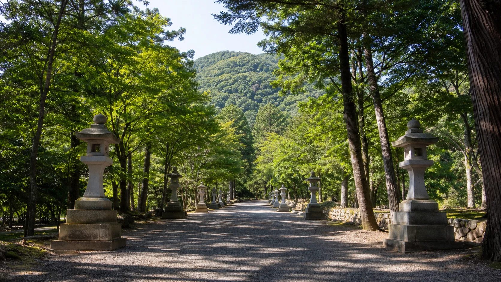 木々に囲まれた神社参道を歩くイメージ