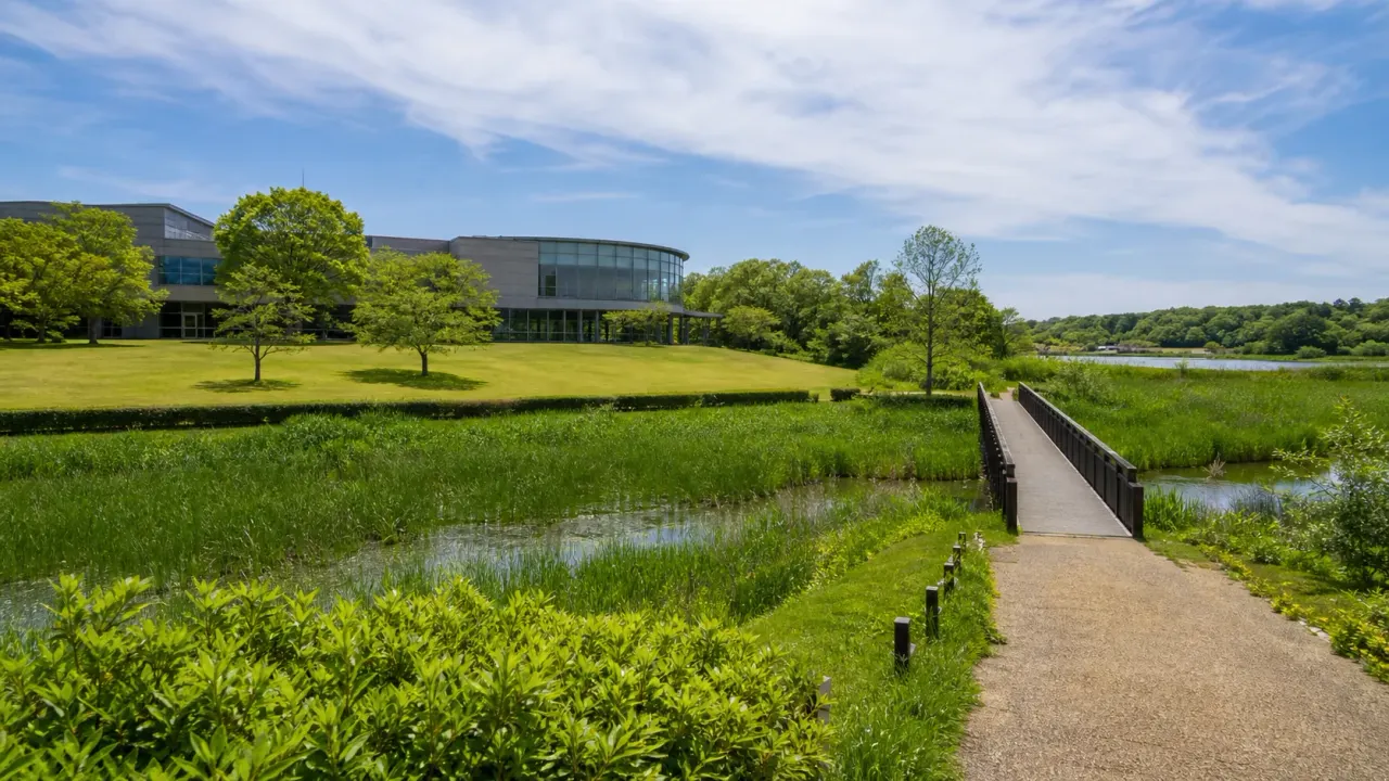 茨城県坂東市のミュージアムパーク茨城県自然博物館で、本館展示、野外施設、菅生沼の自然を合わせて歩く散歩ガイド。博物館と湿地の景色を無理なく楽しむ日帰りコースです。