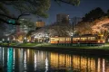 【全ルート解説】市ヶ谷から飯田橋の外濠公園で夜景散歩｜電車が見える撮影スポット5選
