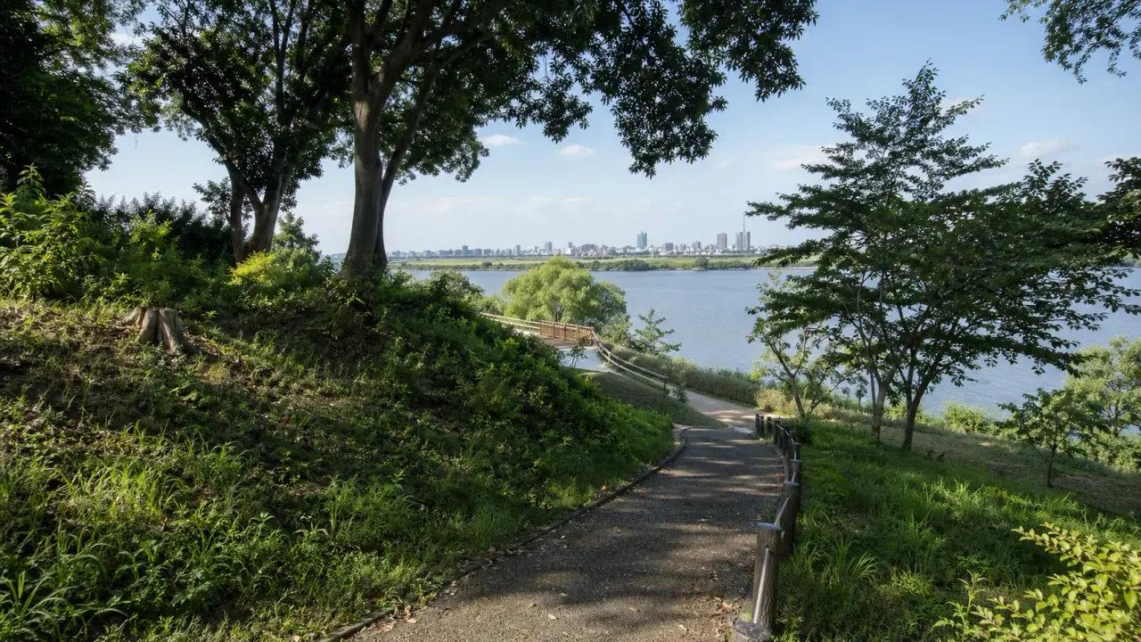 市川市国府台の里見公園で、国府台城跡、バラ園、江戸川沿いをゆっくり歩く散歩を紹介。高台の歴史と水辺を1〜2時間で味わうコースです。