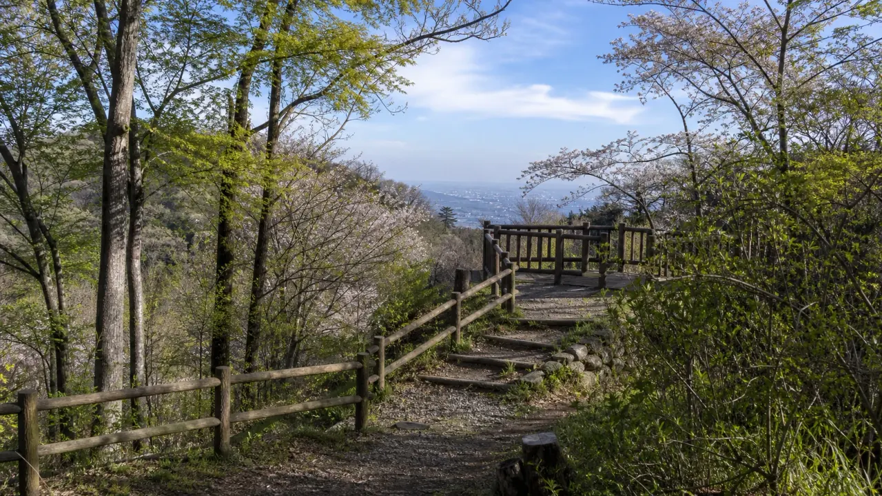 厚木市の飯山白山森林公園で、飯山観音から白山展望台、桜や紅葉の森をゆるく歩く半日散歩を紹介。山歩き未満で里山の空気を受け取る歩き方をまとめます。