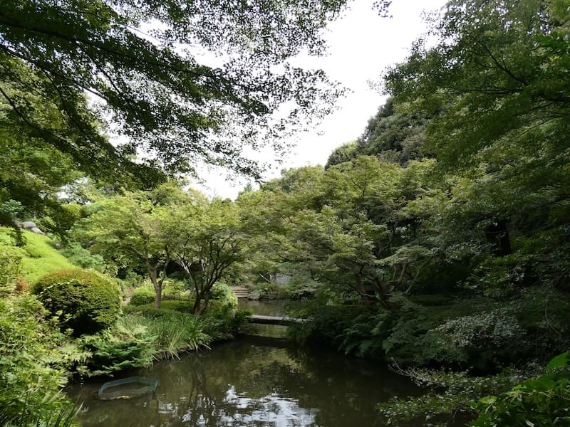 池田山公園の見どころを知りたい方向けに、高台から池へ下りる地形、ししおどし、池泉回遊式の庭園風景、歩き方のコツをまとめました。品川区で静かな日本庭園を歩きたい人に向いた公園です。