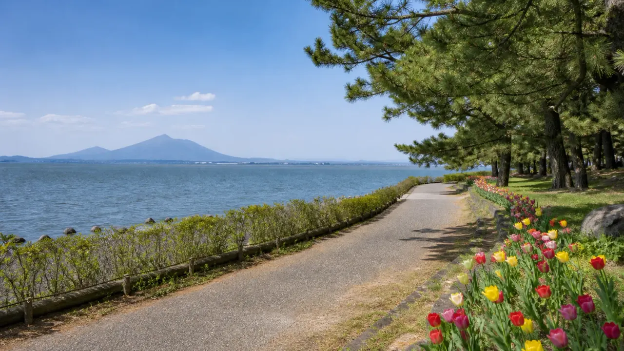 霞ヶ浦の湖面と松林、春のチューリップが並ぶ和田公園の湖畔散歩のイメージ
