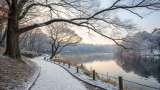 冬の井の頭恩賜公園を散歩｜思考を休める静かな一人時間のおすすめコース