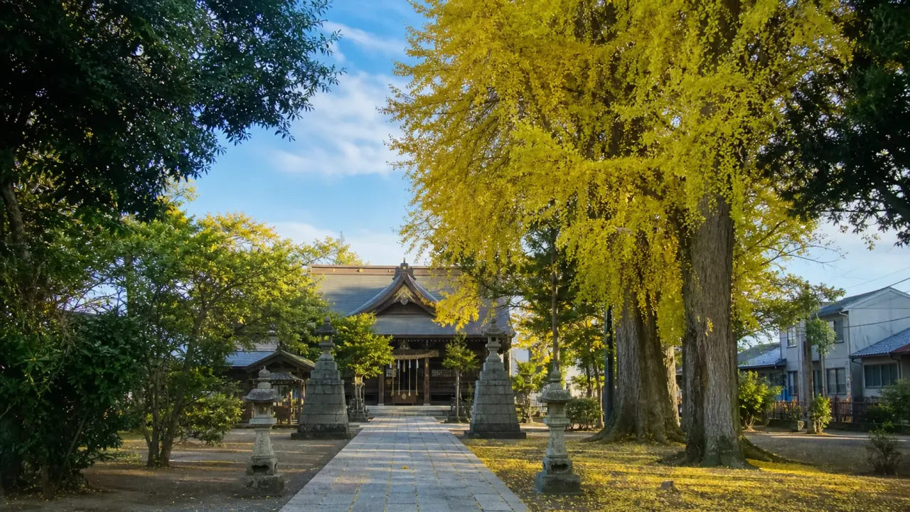 相模原市中央区上溝の亀ヶ池八幡宮で、夫婦いちょう、境内、社名の由来を短くたどる神社散歩を紹介。上溝駅からのアクセス、社務所受付時間、周辺の公園散歩へのつなぎ方をまとめます。