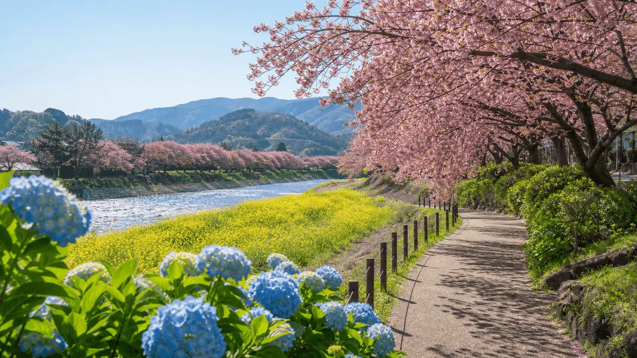 桜、菜の花、あじさいが咲く川沿いの神奈川花散歩をイメージしたカバー画像
