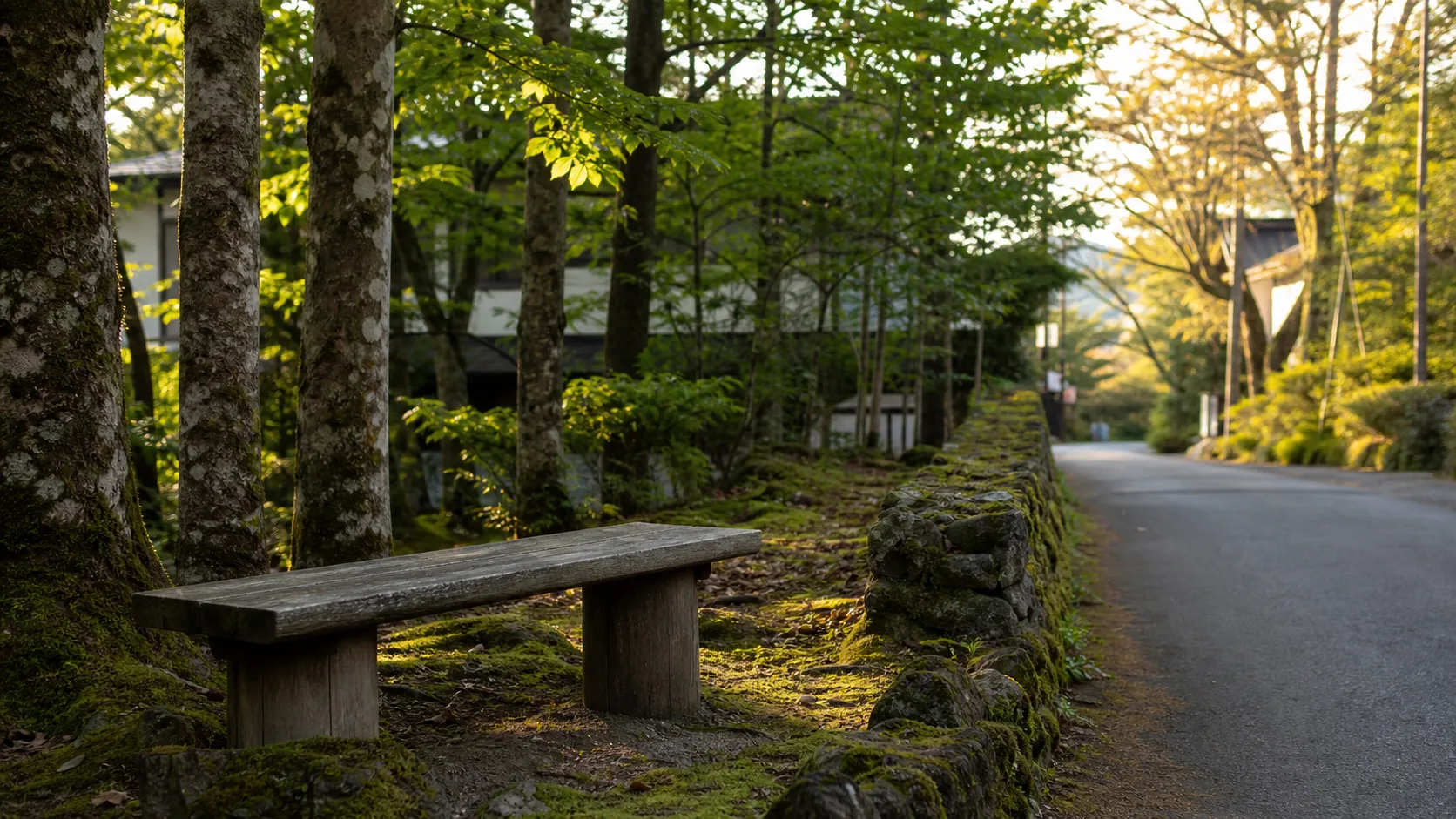 夕方前の木陰でベンチと小道が見える休憩のイメージ