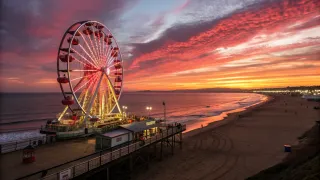 【体験談】葛西臨海公園の海沿いを散歩｜夕日と観覧車に癒される週末の過ごし方