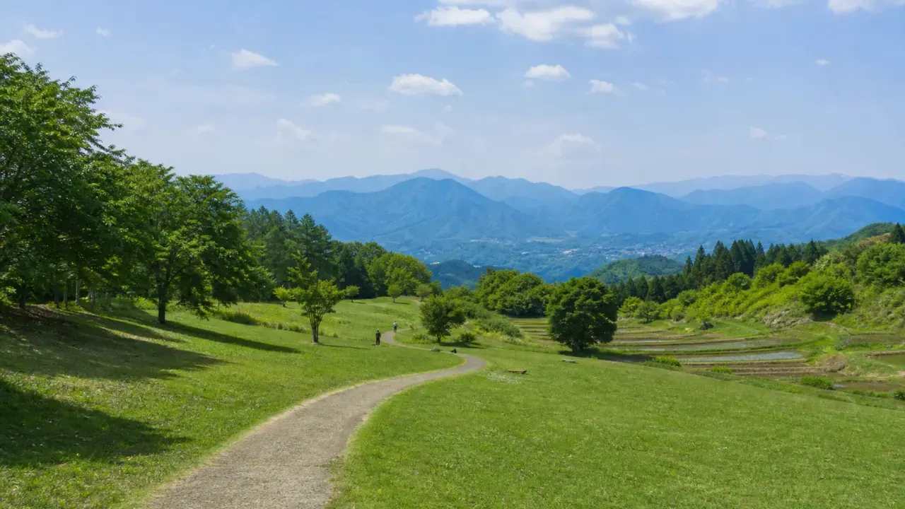 大月市の桂川ウェルネスパークで、里山の自然、芝生広場、棚田や雑木林を短時間で楽しむ散歩を紹介。公式情報をもとに、アクセス、歩く範囲、家族連れや休憩の使い方をまとめます。