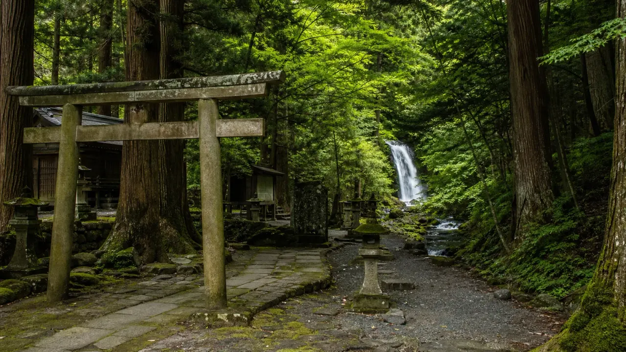 富士河口湖町の河口浅間神社から母の白滝へ向かう散歩を紹介。世界文化遺産の構成資産、七本杉、滝への歩き方、アクセス、道幅の注意点をまとめます。