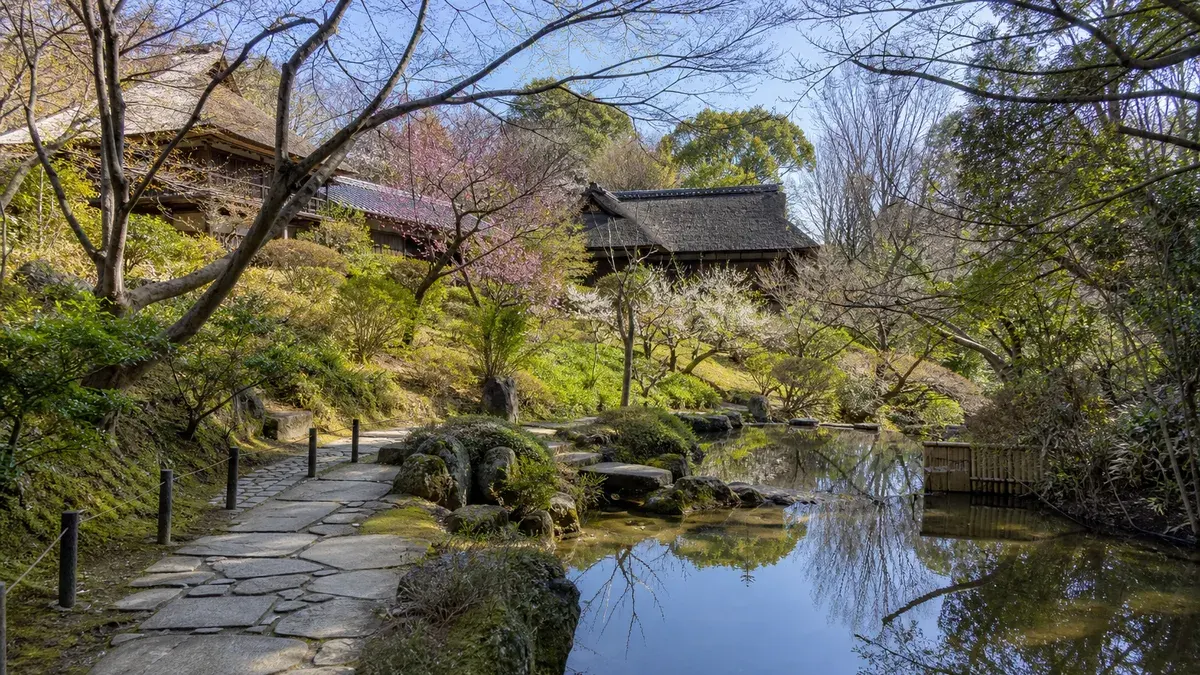 日野市の京王百草園を、梅、心字池、見晴台、文学碑をゆっくり歩く日本庭園散歩として紹介。百草園駅からのアクセス、営業時間、入園料、季節ごとの見どころを整理します。
