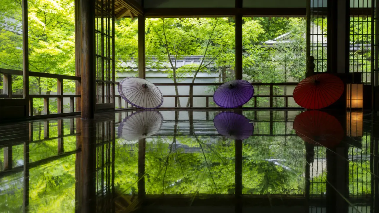 桐生市の宝徳寺を思わせる本堂の床に映る青もみじ、和傘と静かな寺の庭